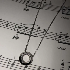 Stål halsband  - Nyköpt och oanvänt halsband från Edblad. Köptes för 349kr säljs för 299kr. Gratis frakt?