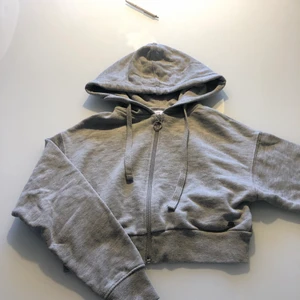 Kort grå zipup tröja - Säljer en grå cropped zipup tröja i bra skick🤩 köparen står för frakt 
