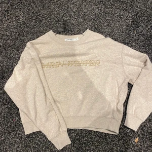 sweatshirt från carin wester - en jätte fin Carin Wester sweatshirt i färgen beige. använd men i fint skick i st xs, använder inte längre och hoppas att den kommer för användning hos någon annan, 300kr men pris kan diskuteras och köparen står för frakten :) 