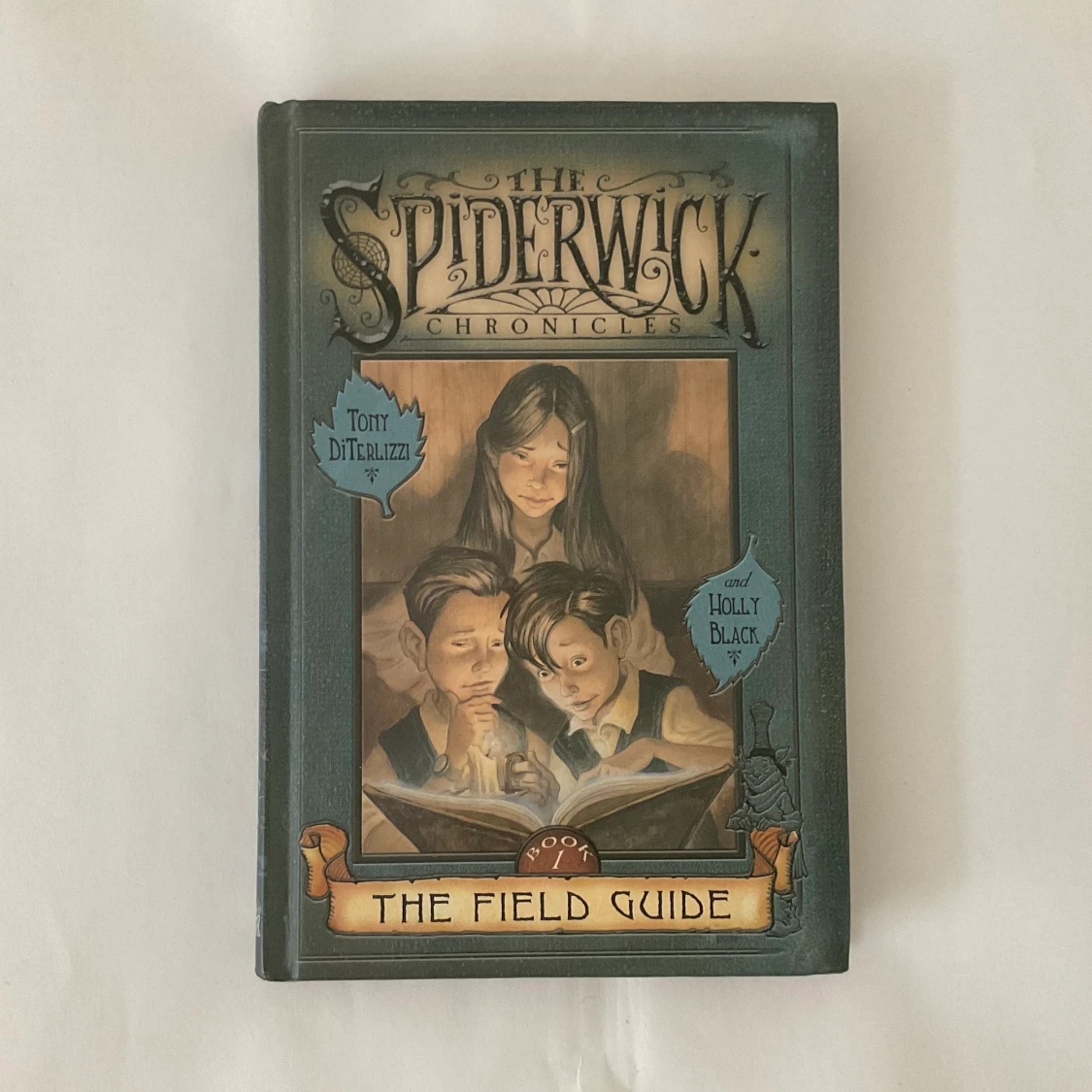 BOK The Spiderwick Chronicles 1 Engelska