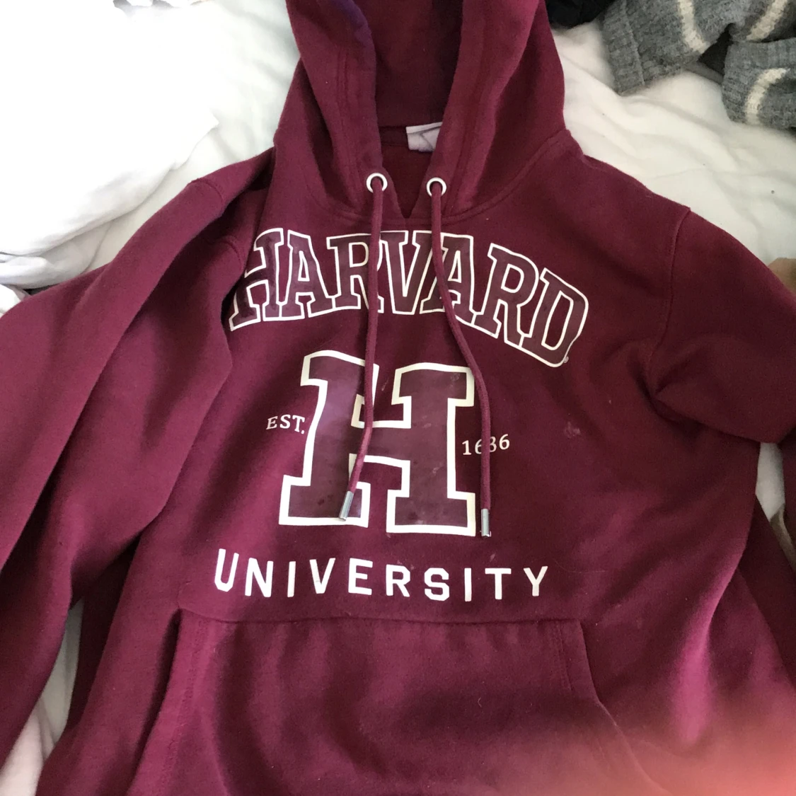 Fin Harvard hoodie 