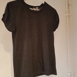 Badic H&M t-shirt  - Basic grey H&M tshirt. A little worn, but a good stable.