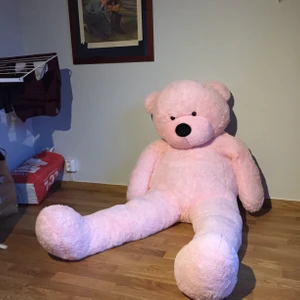 Största nallen - Helt sjukt men jag köpte denna till min vän när hon fyllde år för 800 spänn, och så kom hon hem med en exakt likadan fast brun från sin pojkvän så nu vet ingen riktigt vart han ska ta vägen. Den hämtas i Gubbängen. Har du ett barn som ska få den är den gratis annars 300 spänn.