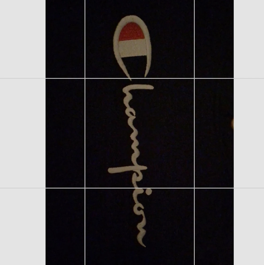 Champion hoodie - 91