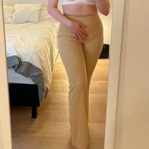 Cute nude dress pants with a flare. Makes curves look amazing and has a discrete side zip. 