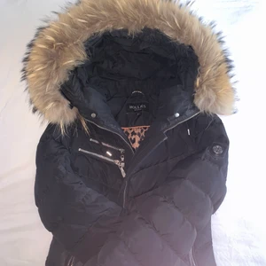 Hollies vinterjacka, storlek 34(XS-S) - Fin äkta vinterjacka från Hollies Stockholm, endast använd ett fåtal gånger och i fint skick. Säljer endast pågrund av att den blivit för liten. Äkta avtagbar päls. Nypris ca 3500kr. Kan gå ner till 750kr vid snabb och enkel affär. Köpare står för frakt.