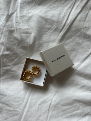Muli örhöngen - Säljer ett par örhängen från Muli Collection, testade/använda max vid 1 tillfälle.  Nypris: 499kr Mitt pris: 250kr
