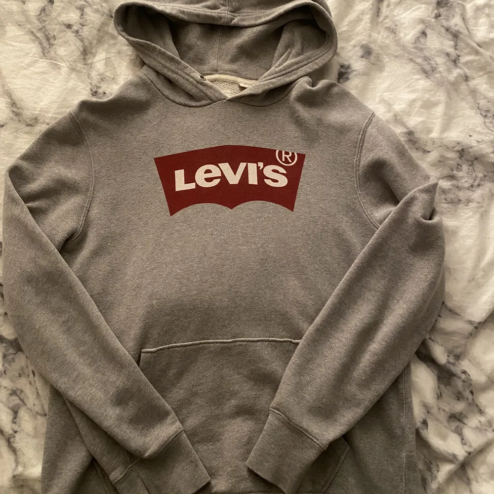 Grå Levis hoodie, inget trasigt eller några fläckar . Hoodies.