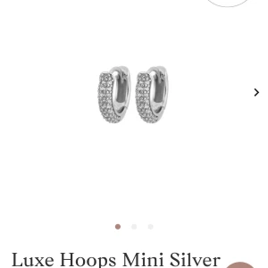 Edblad örhängen  - Säljer dessa fina örhängen ifrån Edblad. Aldrig använda endast testade en gång💕boxen till örhängena följer också med🌸nypris 599