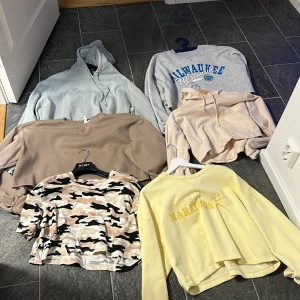 Klädpaket  - Ett klädpaket med magtröja var av 3 sweet shirt, 1 t-shirt och 2 hoodies. allt i storlek M