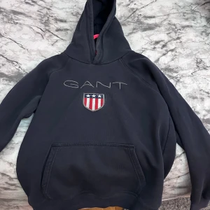 hoodie gant  - en gant hoodie ren och fräsch 