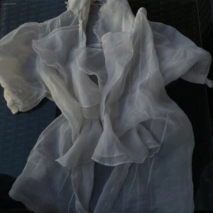 Blouse  - Heavenly blouse almost perfect condition however has some damage that’s small which I can take a pic and send 