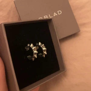 BYTE ÖRHÄNGEN  - Kollar om det är någon som vill byta mina helt nya oanvända populära edbladörhängen i silver mot samma i guld! Storleken är standard (s), asken är kvar.. kan även tänka mig att sälja dom för 300kr🩷