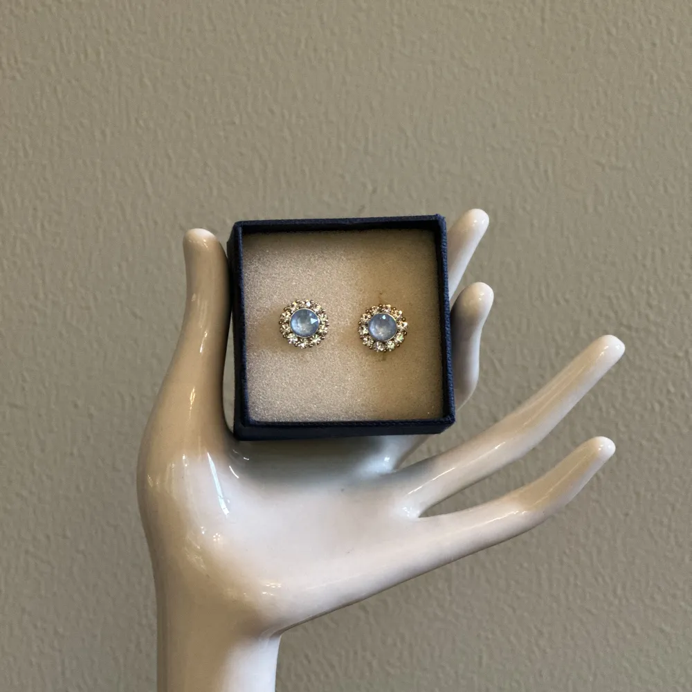 Ursöta örhängen från märket lily & rose i silver med blåa och vita diamanter. Så sjukt gulliga och har aldrig ens testats, kommer i originalboxen.  ✨Nypris 329✨. Accessoarer.