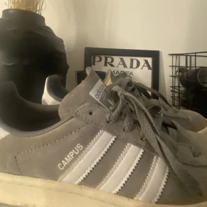 Adidas skor - Ett par trendiga adidas skor! Dem är snygga på andra men jag tycker inte själv att jag passar i dem så därför säljer jag dem! Nypris: 1100. 