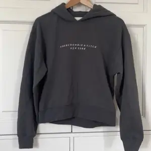 I princip oanvänd grå hoodie från Abercrombie & Fitch