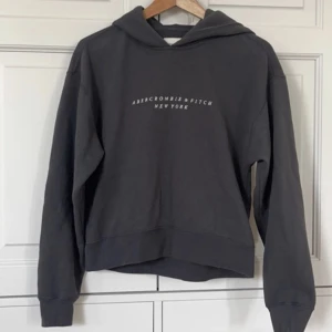 Hoodie - I princip oanvänd grå hoodie från Abercrombie & Fitch
