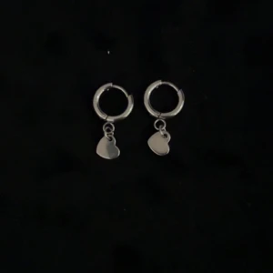 Örhängen - Rostfria örhängen 