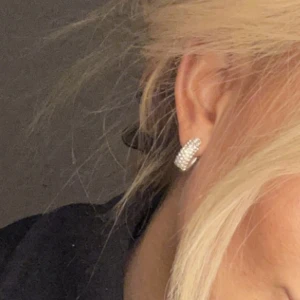 Pilgrim örhängen silver - Fint skick! Knappt använt 🤍