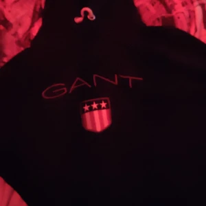 Gant hoodie - Säljer min gant hoodie eftersom den it kommer till användning 10/10 inga fel perfekt nästan aldrit använd 
