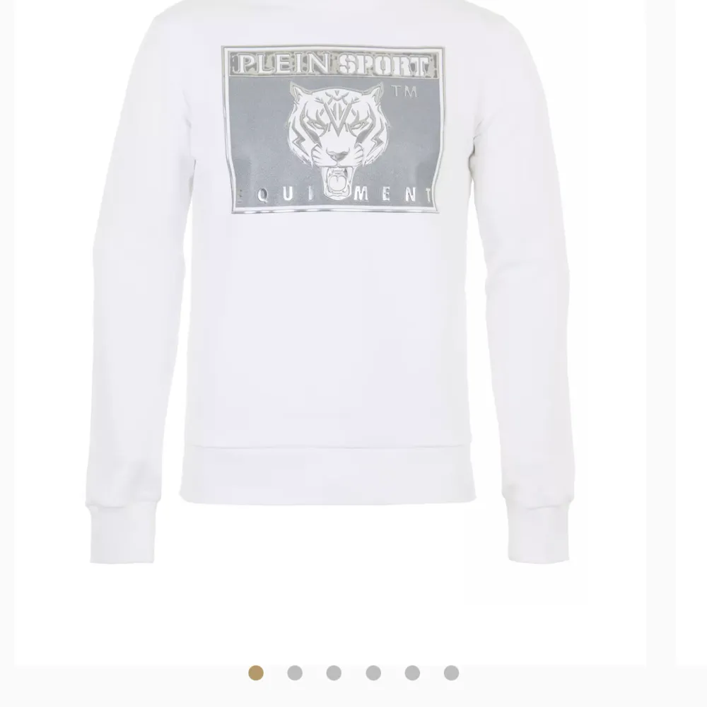 Säljer denna sweatshirt från plein sport.  L men passar medium . Tröjor & Koftor.
