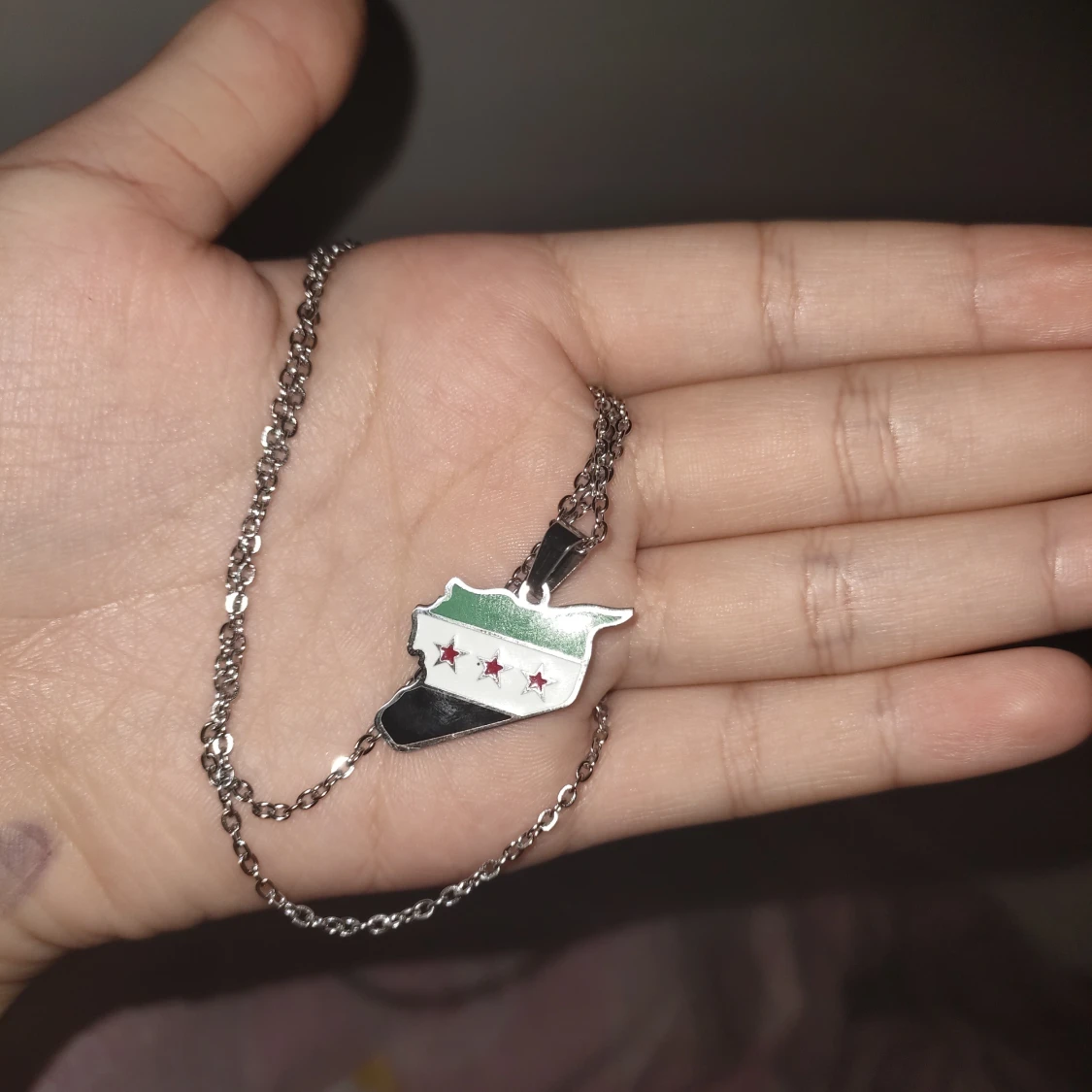 Rostfri Syrien halsband - 91