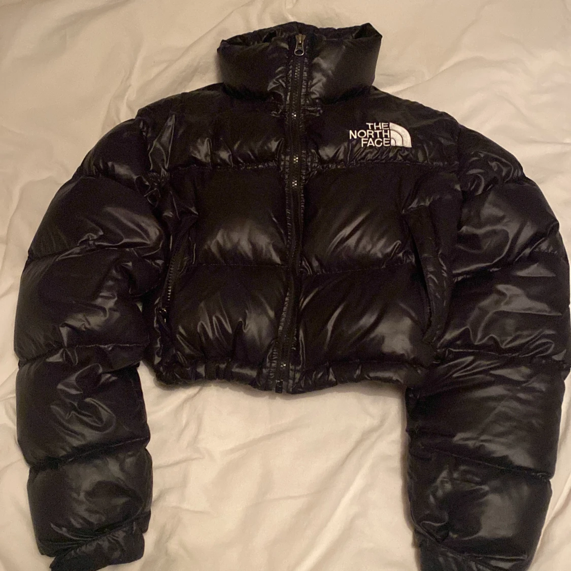 The north face vinterjacka