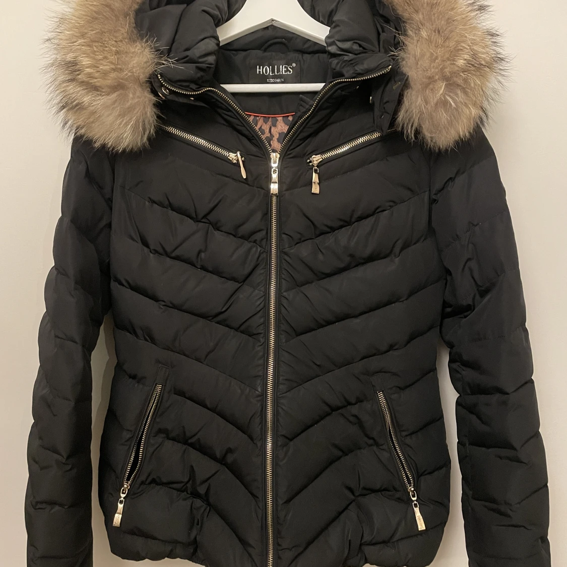 Hollies Jacka