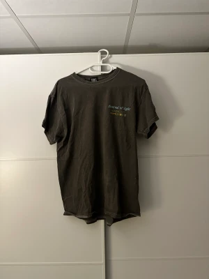 Grå T-shirt - Snygg grå t-shirt med snyggt tryck på. Säljer då jag inte använder den längre.