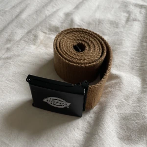 Dickies bälte - säljer detta bruna dickies bälte pga den används inte längre, hör av dig om du har frågor eller funderingar 💗