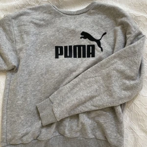 puma tröja  - puma tröja. M