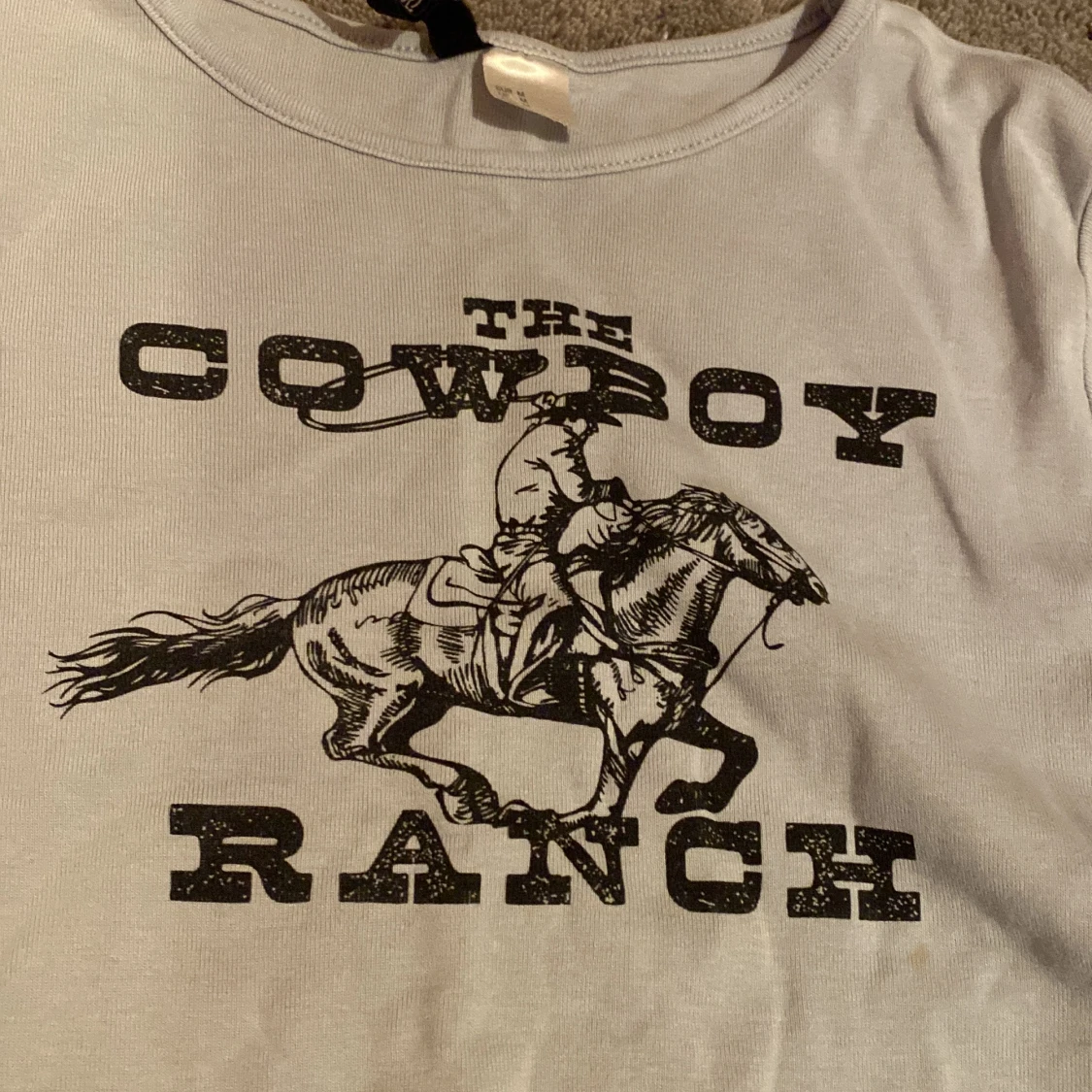 Säljer den här fina ljusblå tröjan. Den har fått en liten rost fläck från vår tvättmaskin, skriv för fler bilder🐻💕 - 90