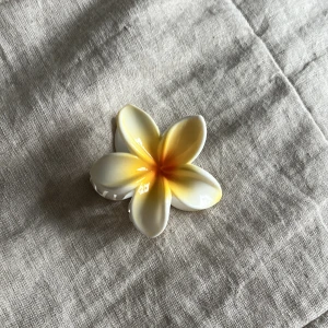 Hårklämma⭐️ - Superfin och bra hår klämma!⭐️