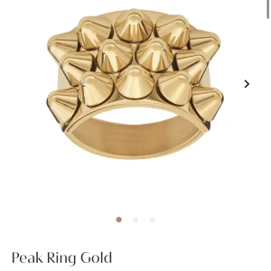 Fin Edblad ring - Säljer denna ringen då den tyvärr inte kommer till användning. Den är i väldigt bra skick, fick den i födelsedagspresent 31 januari iår. Men jag använder bara silver därav anledningen till att jag säljer💕 Storleken på ringen är L-18,5 mm. Skriv för bild 