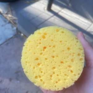 Sponge aldrig använt 🧽 