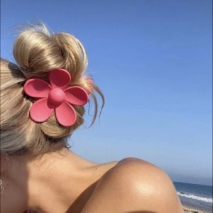 Hårklämma  - betalning sker via swish och köparen står för frakt 