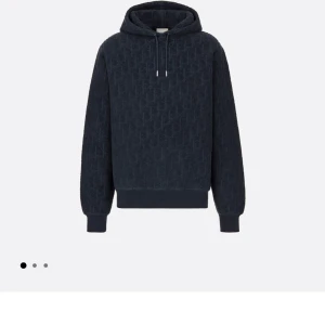 DIOR OBLIQUE RELAXED-FIT HOODED SWEATSHIRT - Mörk blå dior tröja 15000kr vid snabb affär går jag ner gratis frakt. Gosig och varm tröja använd vid två tillfällen köptes för 1.800 euro motsvarar ca 20.000