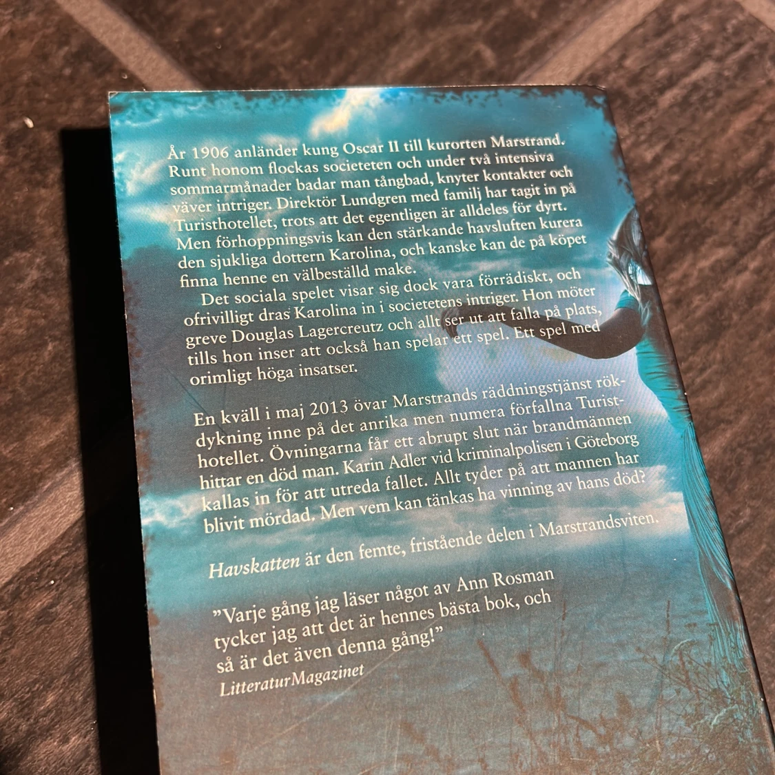 Havskatten av Ann Rosman, blå - 91