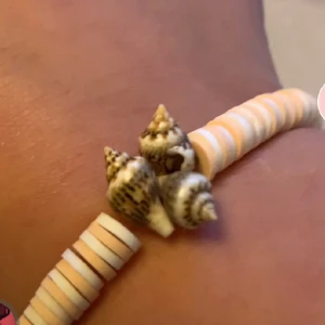 RIKTIGA snäckor  - Köp armbandet och få örhengen gratis! RIKTIGA snäckor 