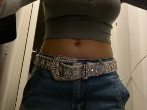 Snygg Y2k skärp/bälte - Snygg Y2k skärp/bälte. Använd minst Max 2 ggr. Nyskick och är köpt från YesStyle