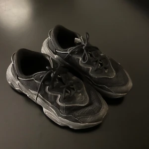 Adidas OZWEEGO - Skor från adidas. 