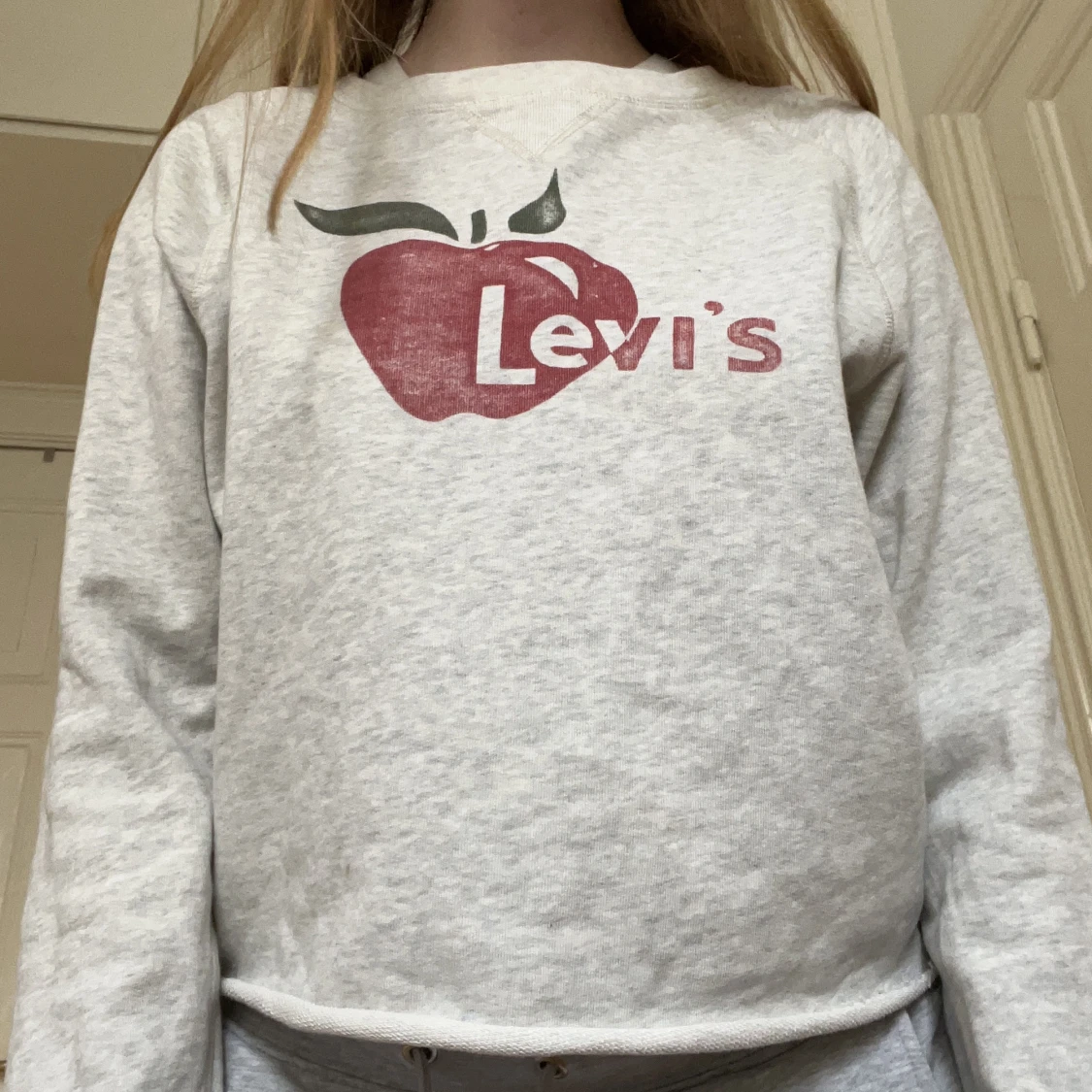 Ljusgrå sweatshirt märke - 90