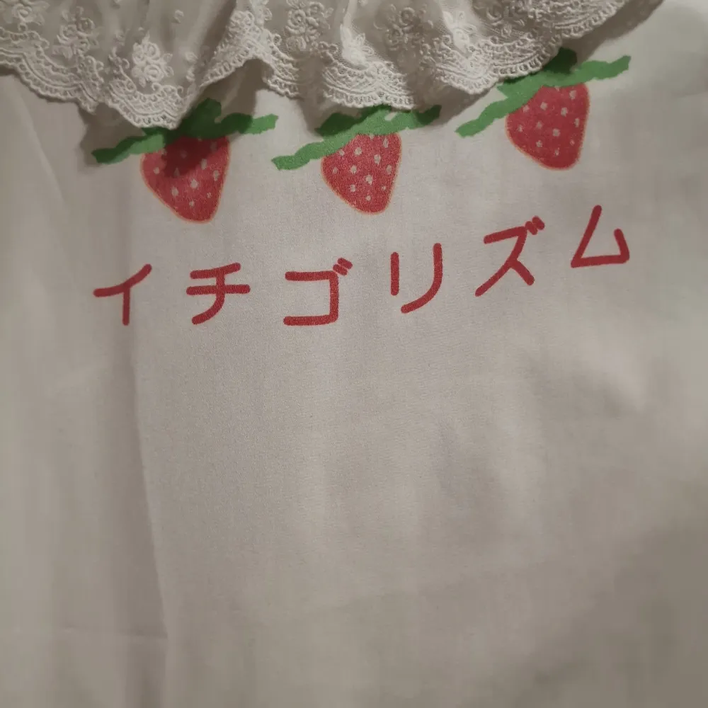 Strawberry Blouse, barely used/in very good condition, bought in Gothenburg at Kawaii, fits L but depends on how you want it to sit.   The Japanese letters stands for Strawberry Rhythm. Blusar.