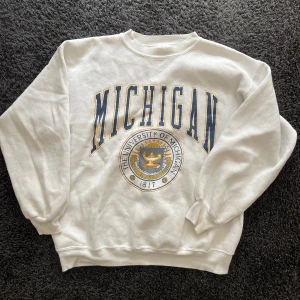 Michigan Sweatshirt - Lite oversized sweatshirt. Lite nopprig annars fint skick.