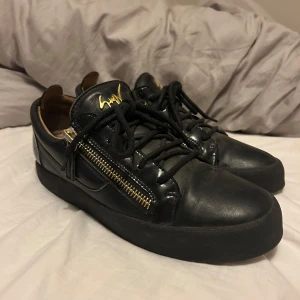 Guiseppe zanotti  - Ett par guiseppe zanotti skor i storlek 43. Dom är köpte 2022 