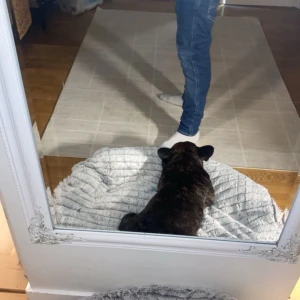 Blå jeansbyxor - Snygga blå jeans med en klassisk straight passform. Perfekta för en avslappnad stil. De har en midwaist design och är tillverkade i ett slitstarkt denimtyg.