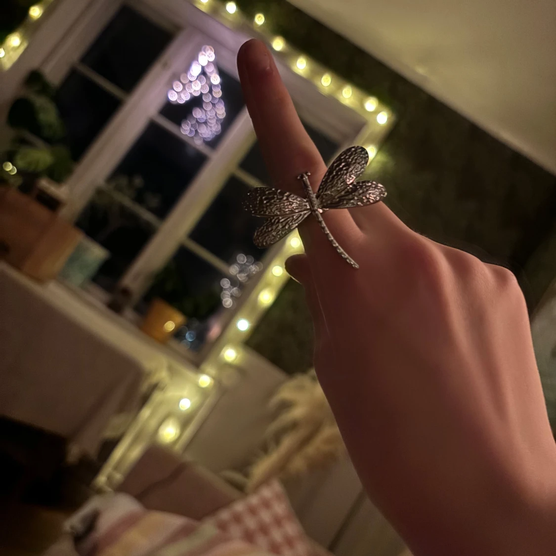 Silverfärgad trollsländering - 91