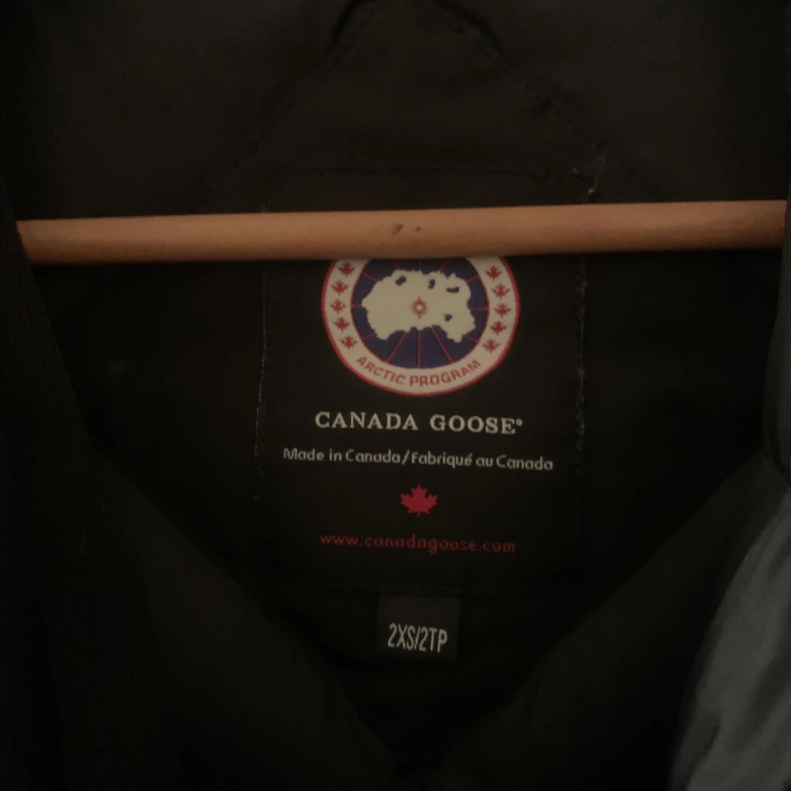 Canada goose - 91
