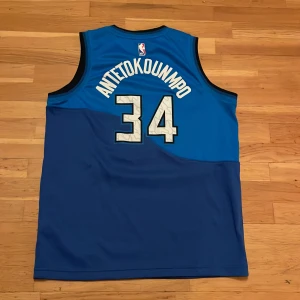 Giannis tröja swingman - En äkta giannis tröja som är oanvänd! Skick 10/10 Priset går att diskutera