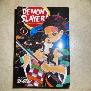 Demon Slayer: Kimetsu no Yaiba Vol. 1 - Första volymen av den populära mangan 'Demon Slayer. (Tar bara emot Swish)